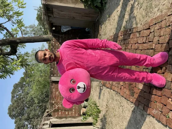 Pink_Rayon_Teddy_Bear_Costume_For_Events_And_Promotions