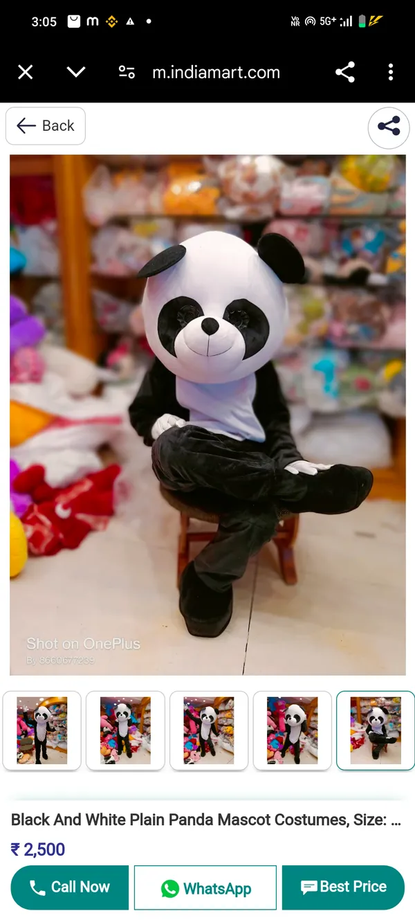 Black_And_White_Rayon_Teddy_Bear_Costume_For_Events_And_Promotions
