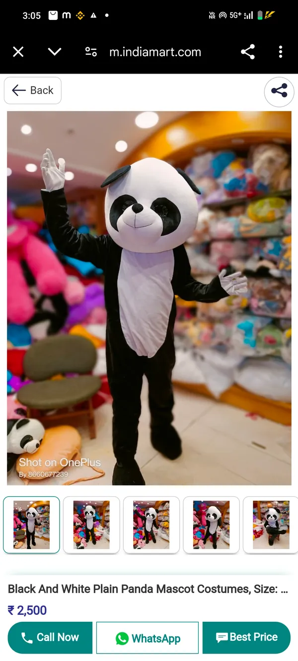 Black_And_White_Rayon_Teddy_Bear_Costume_For_Events_And_Promotions