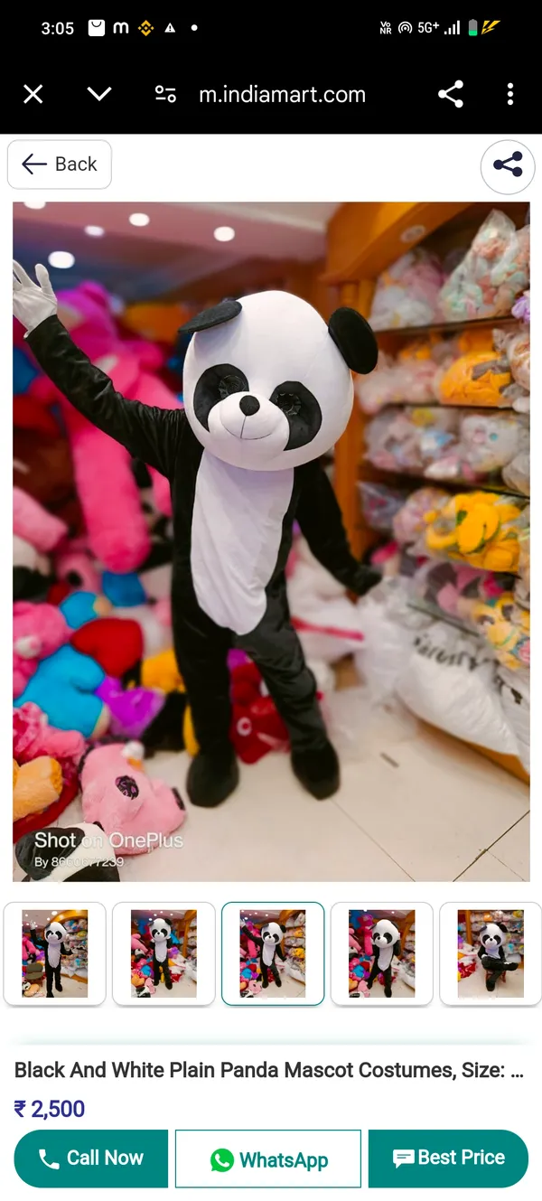 Black_And_White_Rayon_Teddy_Bear_Costume_For_Events_And_Promotions