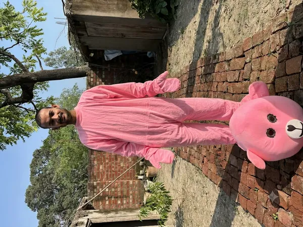 Pink_Rayon_Teddy_Bear_Costume_For_Events_And_Promotions