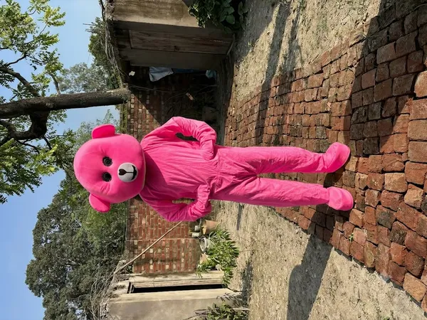 Pink_Rayon_Teddy_Bear_Costume_For_Events_And_Promotions