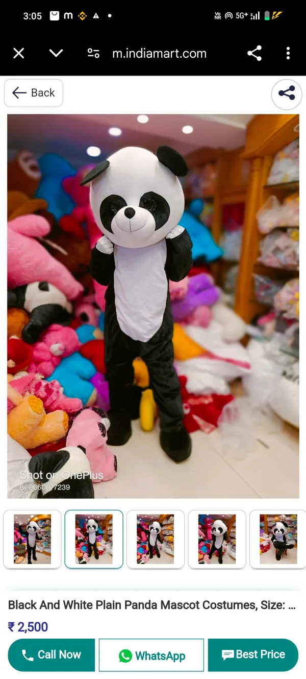 Black_And_White_Rayon_Teddy_Bear_Costume_For_Events_And_Promotions