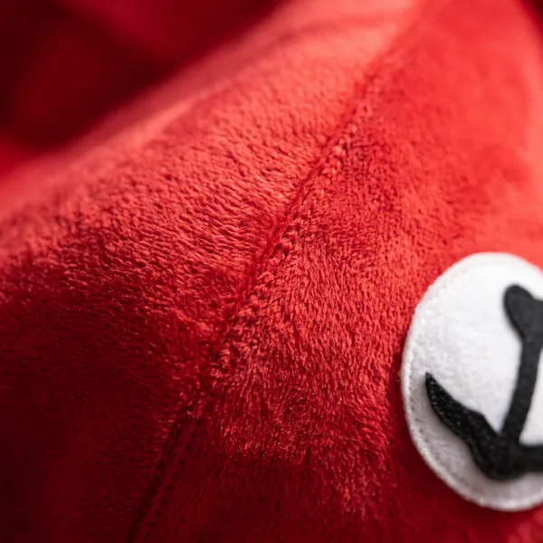 Red_Nylex_Teddy_Bear_Costume_For_Events_And_Promotions