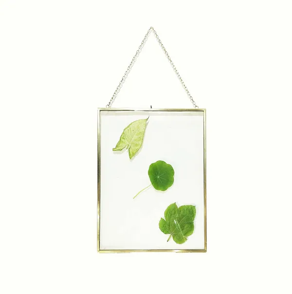 Anbw_Handicraft_Steel_Glass_Hanging_Photo_Frame_Wall_Mounted_Photo_Frame_Flower_Frame_For_Wall_With_2_Sides_Glass_Set_3_Pcs