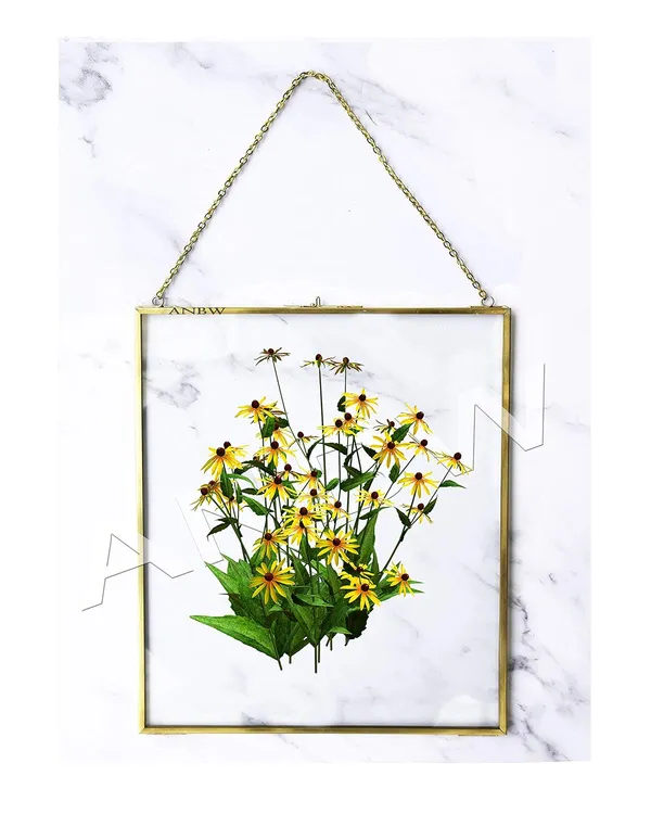 Anbw_Handicrafts_Metal_Glass_Hanging_Photo_Frame_Wall_Mounted_Photo_Frame_Flower_Plant_Display_Frame_For_Wall_With_2_Sides_Glass_Size_8x10_Inch_Golden