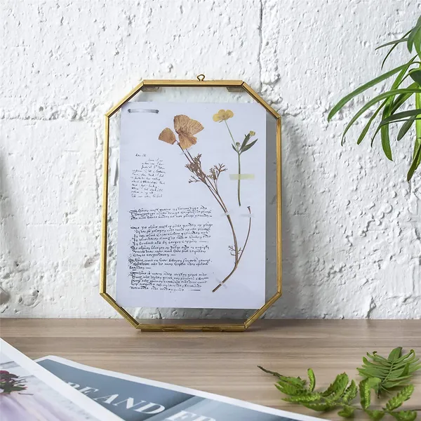 Handicrafts_Metal_Glass_Octagonal_Hanging_Photo_Frame_Wall_Mounted_Photo_Frame_Flower_Plant_Display_Frame_For_Wall_With_2_Sides_Glass_Size_4x6_Inch_Golden