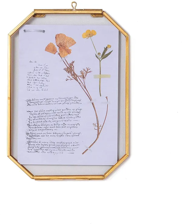 Handicrafts_Metal_Glass_Octagonal_Hanging_Photo_Frame_Wall_Mounted_Photo_Frame_Flower_Plant_Display_Frame_For_Wall_With_2_Sides_Glass_Size_4x6_Inch_Golden