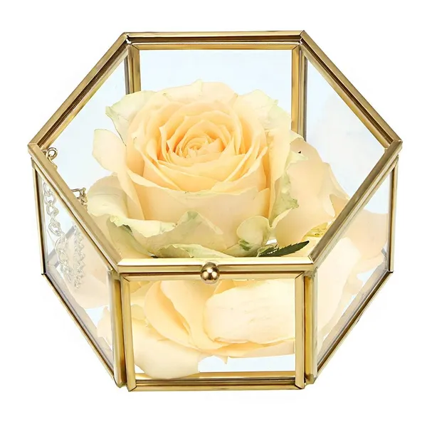 Gold_Brass_Glass_Hexagon_Jewelry_Organizer_Box