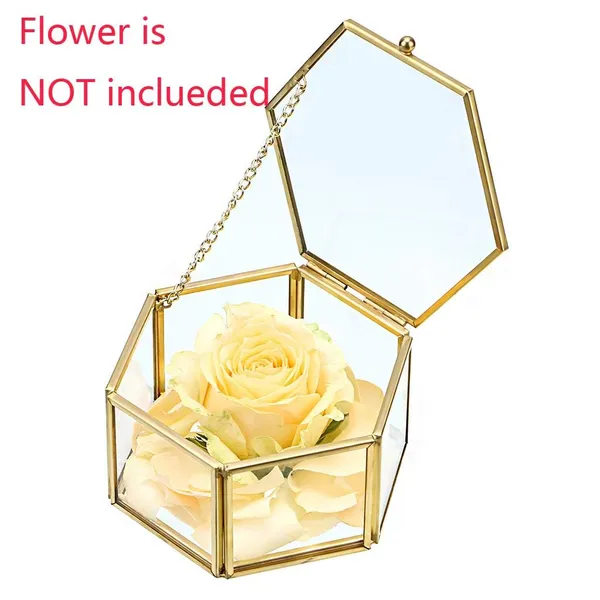 Gold_Brass_Glass_Hexagon_Jewelry_Organizer_Box