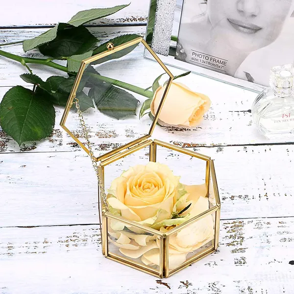 Gold_Brass_Glass_Hexagon_Jewelry_Organizer_Box