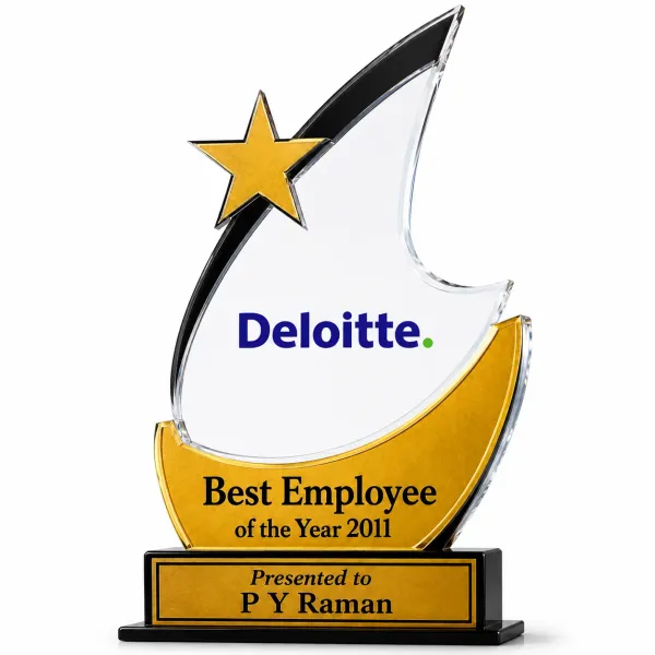 Customized_Acrylic_Trophy_Award