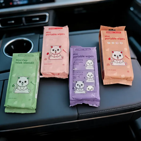 Mini_Portable_Disposable_Wipes_Pack