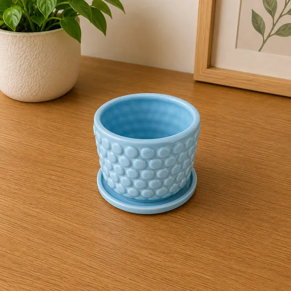 Ceramic_Textured_Plant_Pot_With_Saucer