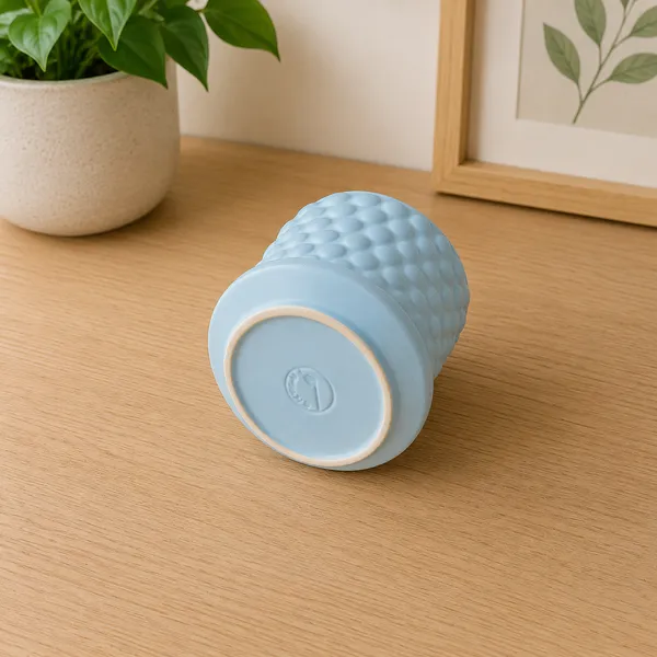 Ceramic_Textured_Plant_Pot_With_Saucer