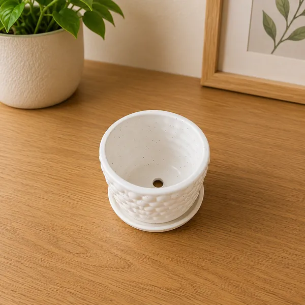 Ceramic_Indoor_Outdoor_Textured_Plant_Pot