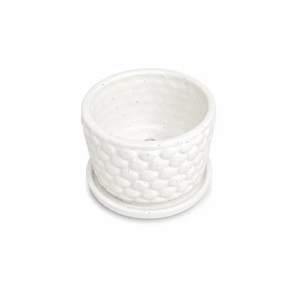 Ceramic_Indoor_Outdoor_Textured_Plant_Pot