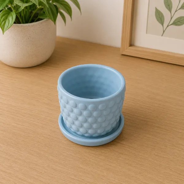 Ceramic_Textured_Plant_Pot_With_Saucer