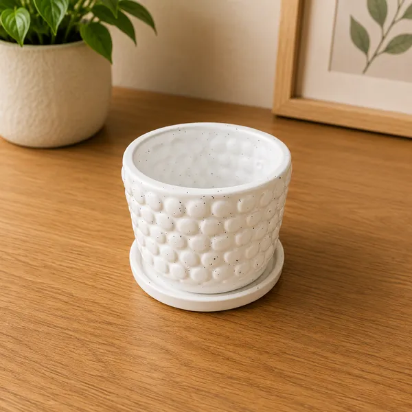 Ceramic_Indoor_Outdoor_Textured_Plant_Pot