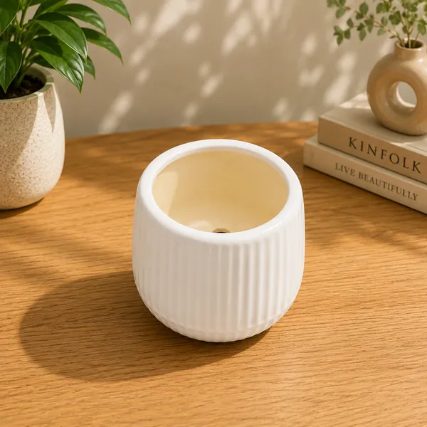 Ceramic_Ribbed_White_Plant_Pot