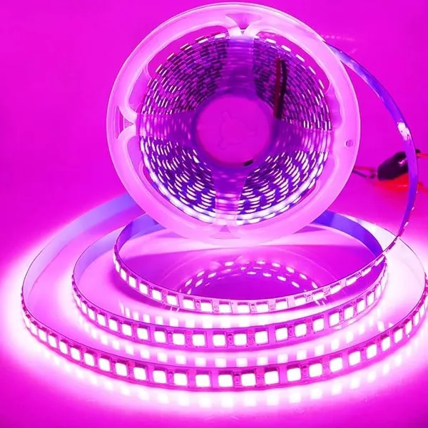 KAVYASHINE_22_Meter_High_Lumen_Rope_Led_Strip_Lights_Waterproof_Outdoor_Lighting_For_Balcony_Home_And_Interior_Decoration_Perfect_For_Diwali_Lighting_Pink_22_Meter