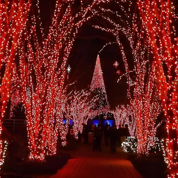 54Led_String_Rice_Light_20_Meter_2_For_Home_Decor_Diwali_Christmas_Festivals_Red