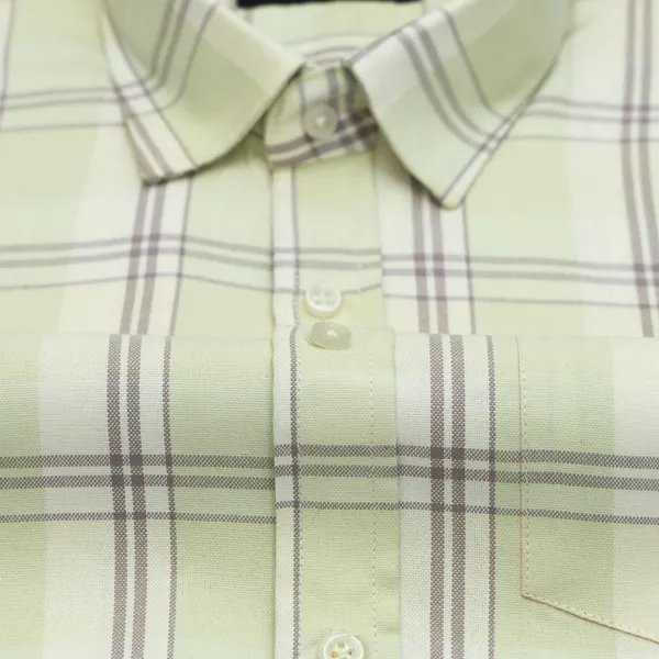 Pale_Pistachio_Classic_Check_Oxford_Cotton_Shirt_For_Men