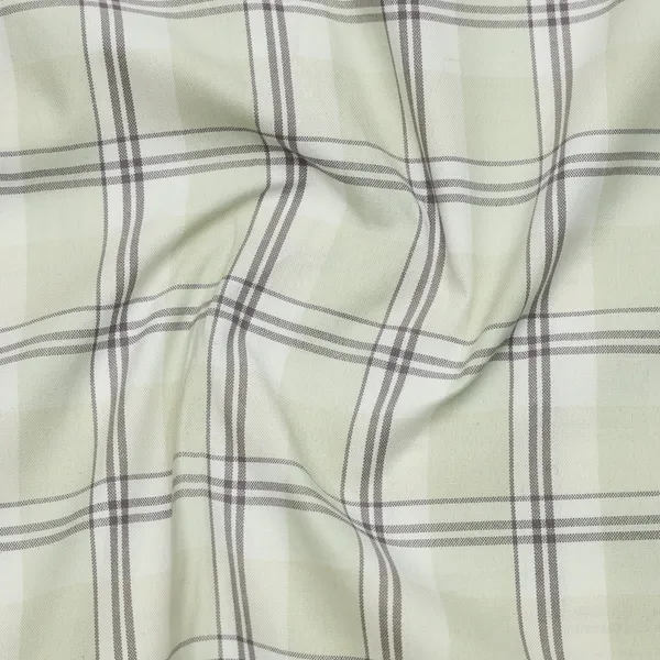 Pale_Pistachio_Classic_Check_Oxford_Cotton_Shirt_For_Men