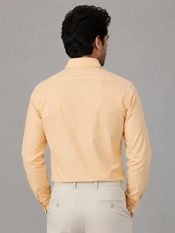 Lemon_Pinstripe_Oxford_Shirt_For_Men