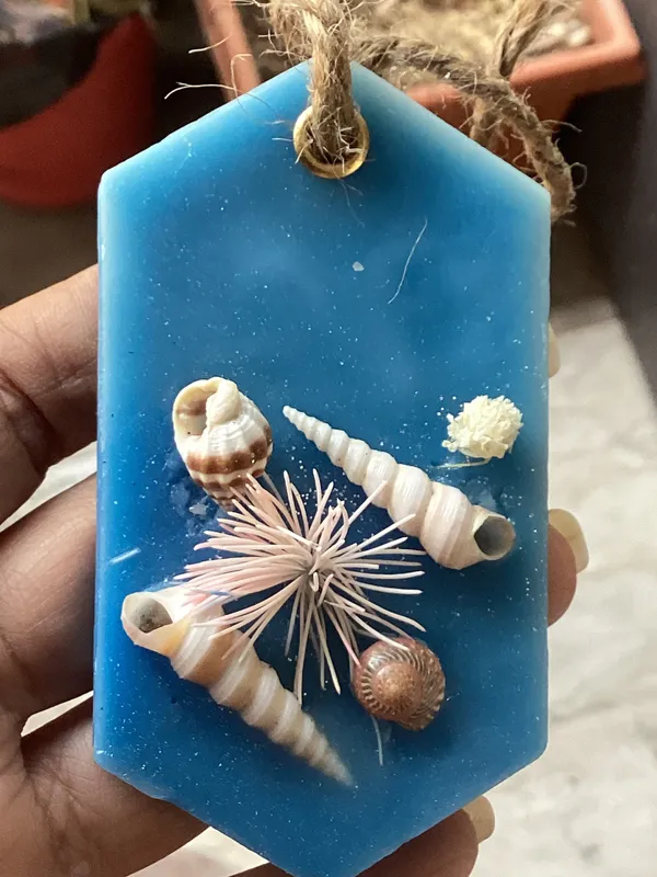 Blue_Coastal_Seashell_Decorative_Wall_Hanging