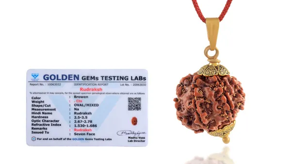 Brown_Rudraksha_Pendant_Necklace_for_Unisex