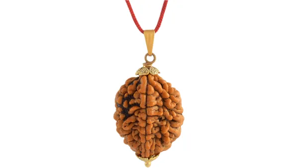 Brown_Rudraksha_Bead_Pendant_Necklace_for_Unisex