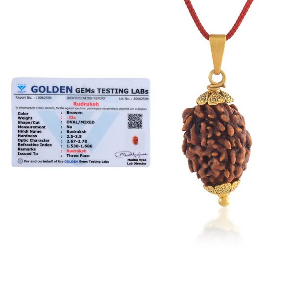 Brown_Rudraksha_Pendant_Necklace