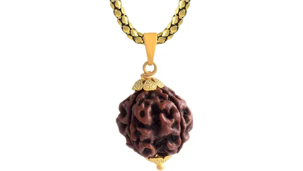 Brown_Four_Mukhi_Rudraksha_Pendant_Necklace