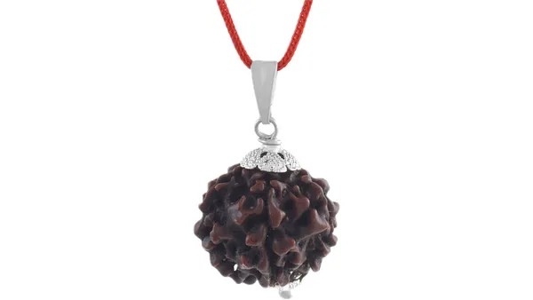 Brown_Rudraksha_Six_Face_Pendant