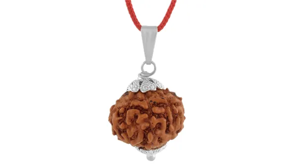 Brown_Rudraksha_Pendant_Necklace_for_Adults