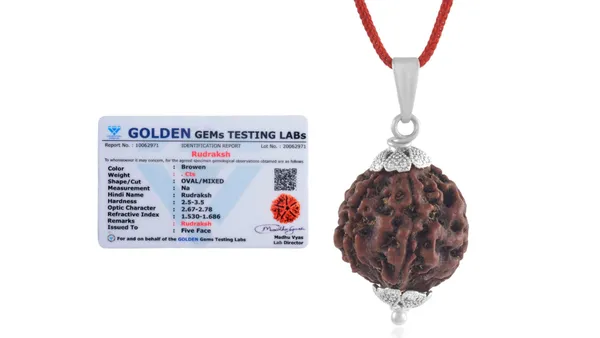 Brown_Rudraksha_Pendant_Necklace