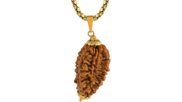 Brown_Rudraksha_Pendant_Necklace_for_Men_And_Women