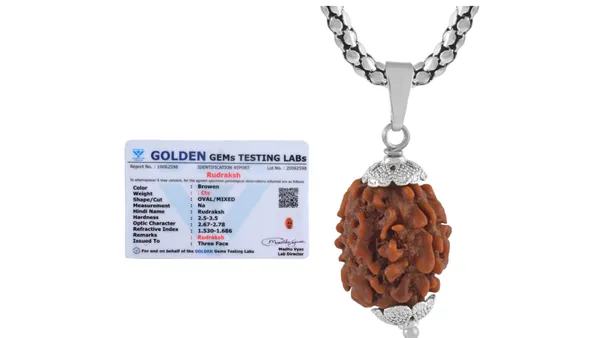 Brown_Three_Face_Rudraksha_Pendant_Necklace_for_Unisex