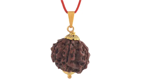 Brown_Six_Face_Rudraksha_Pendant_For_Unisex