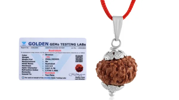 Brown_Ten_Face_Rudraksha_Pendant_With_Red_Cord
