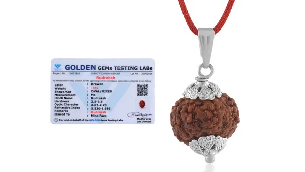 Brown_Rudraksha_Pendant_Necklace_for_Devotees