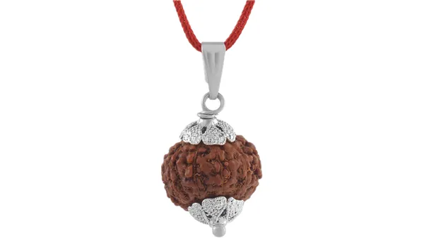 Brown_Rudraksha_Pendant_Necklace_for_Devotees