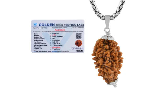 Brown_Rudraksha_Pendant_Necklace_for_Unisex