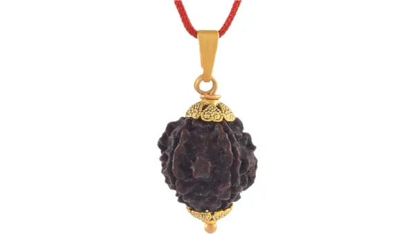 Brown_Five_Face_Rudraksha_Pendant_Necklace