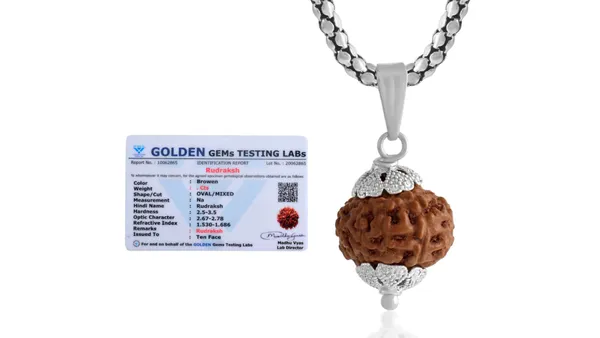 Brown_Rudraksha_Pendant_Necklace_for_Unisex