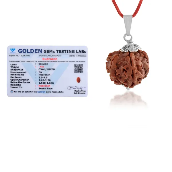 Brown_Rudraksha_Bead_Pendant_Necklace_for_Unisex