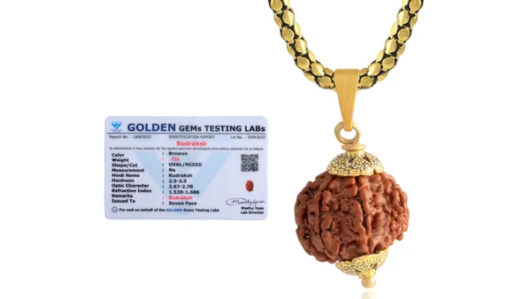 Brown_Rudraksha_Pendant_Necklace_for_Unisex