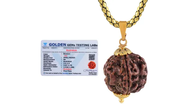 Brown_Rudraksha_Pendant_Necklace_For_Unisex