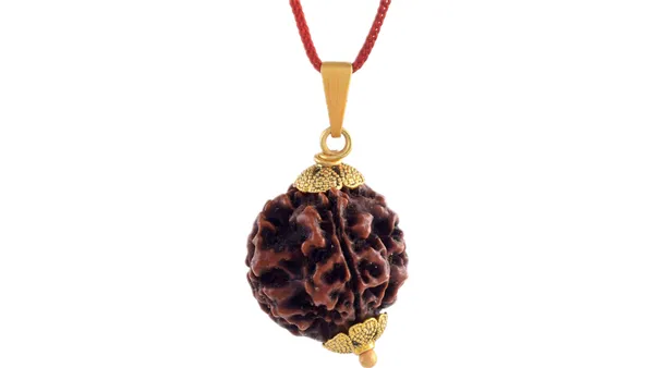 Brown_Rudraksha_Pendant_Necklace_for_Unisex